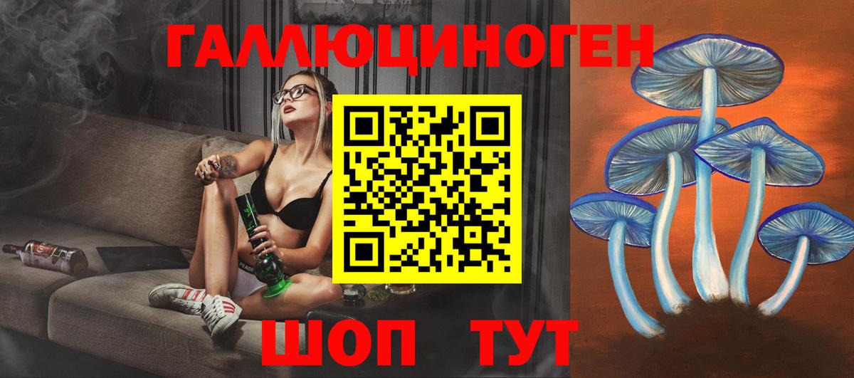 Псилоцибиновые грибы Psilocybe Северск