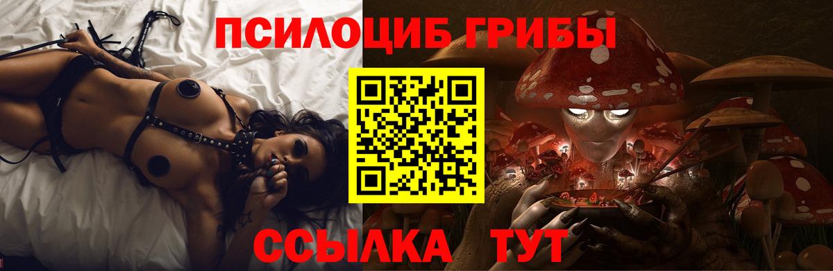 Галлюциногенные грибы Psilocybe  Псилоцибиновые грибы мицелий  Северск  Вход с VPN 